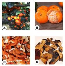 Mechanism of Citri Reticulatae Pericarpium as an Anticancer Agent from the  Perspective of Flavonoids: A Review