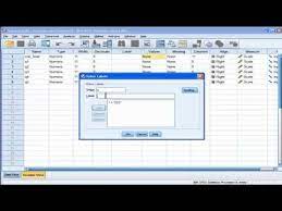 Value Labels Spss Spss Statistics Research Methods Variables