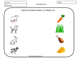 We did not find results for: SferÄƒ StrÄƒpunge ArÄƒtos Animalele Cu Blana FisÄƒ De Lucru Justan Net