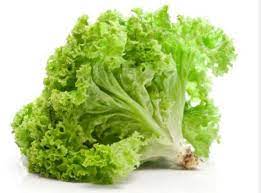 Green Leaf Lettuce Seedssalad Vegetable Seedsasia Vegetable Etsy In 2021 Vegetables Leafy Salad Lettuce