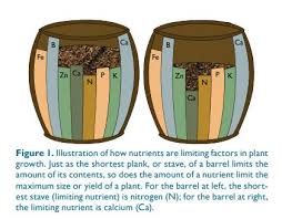 Essential Nutrients For Plants How Do Nutrients Affect Plant Growth