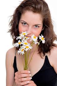 20+ Fotos, Bilder und lizenzfreie Bilder zu Magerite