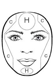 face shapes for professional makeup