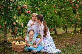 In northwest kansas, the braeburn apple tree, fuji apples tree, and red rome apple trees are selected to better survive the extreme cold, according to kansas state university, that is located in manhattan, kansas. The 10 Best Apple Picking Spots In Kansas