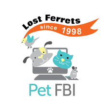Please like and share lost & found cats of massachusetts with your friends and family. Ma Lost Pets Home Facebook