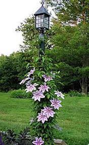 Others provide a brighter light or a diffused light with multiple bulb setups. Pin On Jackie S Faves