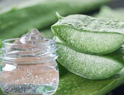 Aloe Vera Gel - Thick Unscented ...