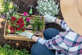 How to plant a successful garden. How To Plant Flowers Everything You Need To Know About Having A Successful Garden Floraqueen