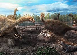 Maybe you would like to learn more about one of these? Ancient Mongolian Nests Show That Dinosaurs Protected Their Eggs