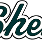 Amsterdam Boys Varsity Basketball @ Shenendehowa event image