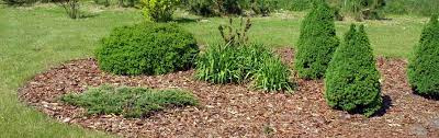 Im garten schützt er empfindliche pflanzen und vermeidet das wachstum von unkraut. Eichhorn Zentrale Rindenmulch Richtig Verwenden