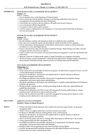Manager Leadership Development Resume Samples Velvet Jobs