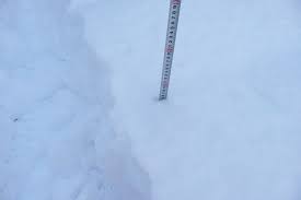 ライブドアブログ