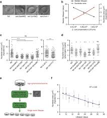 Maybe you would like to learn more about one of these? Small Nucleoli Are A Cellular Hallmark Of Longevity Nature Communications