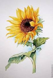 Drawing Sunflower Watercolor Drawing Sunflower Watercolor Sunflower Painting Watercolor Sunflower Sunflower Art
