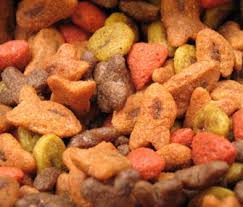 Foods your dog can eat but in a limited amount or after a certain preparation. Can Dogs Eat Cat Food