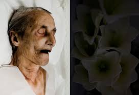 CONFESSIONS OF A FUNERAL DIRECTOR » Death of a Grandparent