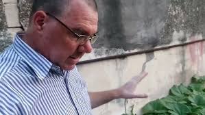 cultivo de zapallo orgánico en espacio reducido