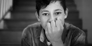 CENTRO LEGAL DE LA RAZA