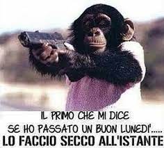 94 immagini e frasi gratis di buon lunedì | immagini gratis. Buon Lunedi