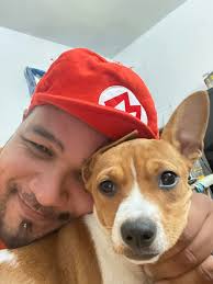 South Bend Lost and Found Pets