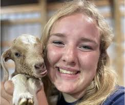 Wadena County 4-H members represent the area well