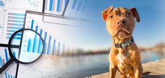 Check spelling or type a new query. Pitbull Growth Chart At What Rate Should Your Puppy Grow