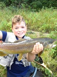 The tide now in yarmouth, royal river, me is falling. Nine Year Old Ned Caught And Released A 22 Brown Trout In The Yarmouth Maine Royal River Using A Little Cleo Lure From The L Fishing Pics Fish Brown Trout