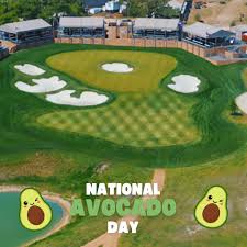 Image result for Avocado Green 1983 Roper