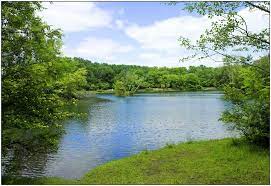It is used as a recreational area and is known as a site of nudism. Drunt In Der Lobau Foto Bild Landschaft Bach Fluss See See Teich Tumpel Bilder Auf Fotocommunity
