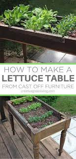 How To Start A Lettuce Garden In A Diy Raised Bed Raised Garden Backyard Garden Lettuce Garden
