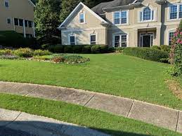 Matt (our technician) nailed it identifying what our lawn needed to get into shape. Lawn Care In Marietta Lawn Doctor Of Marietta