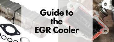 Image result for egr