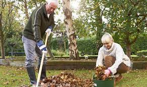 One of the biggest mistakes that inexperienced gardeners make is to start planting and working the soil too early. Spring Clean Your Garden So It S Ready For Summer Express Co Uk