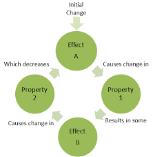 Negative Feedback Energy Education