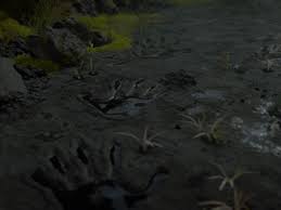 You can do silly poses infront of the mirror that will make bb like you more, you can also interact with bb by approaching the bb pod. Death Stranding Guide How To Avoid And Kill Bts Polygon