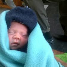 Jamie•Lee•Roos• (@JamieleeroosLee)