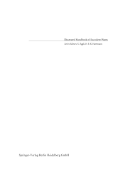 Image result for Aspidoglossum glabellum