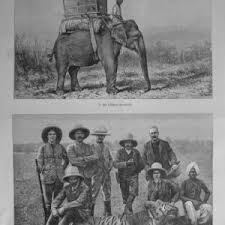Hunting Tiger | AfricaHunting.com