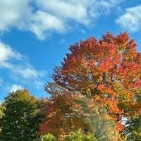 70+ "Smitheman" profiles