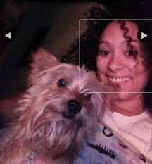 PLEASE HELP. It's been 10 days. I'm losing my mind without my dog. $100  bucks cash in hand for whoever finds Milo and brings him home. He's like 4  pounds. Should have