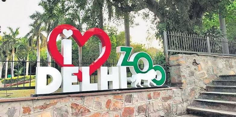 Zoo