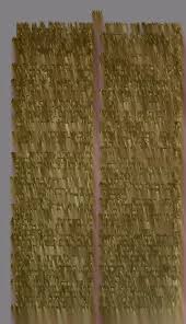 Image result for Tephrosia argyrolampra