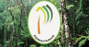 Jabatan perhutanan negeri pulau pinang 13 mac 2020. Senarai Cawangan Jabatan Perhutanan Negeri Pulau Pinang Layanlah Berita Terkini Tips Berguna Maklumat