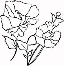 See red poppy stock video clips. Blooming Red Poppy Coloring Page Color Luna