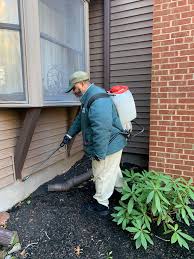 Maybe you would like to learn more about one of these? How Often Should Pest Control Be Done