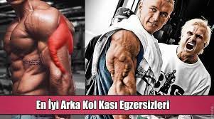 fitness bodybuilding panosundaki pin