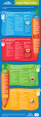 gerber baby food stages chart best picture of chart