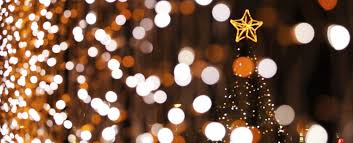 We did not find results for: You Need To See The Forest City Christmas Lights The Esmeralda
