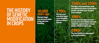 Are used to generate new traits in plants, biology fortified has created an infographic on six different crop modification techniques. How Long Have Genetically Modified Foods Been Used Gmo Answers